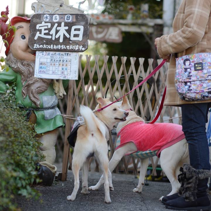 Fa928a69 db8e 4cb5 b6cb ebd7b97f3a6e