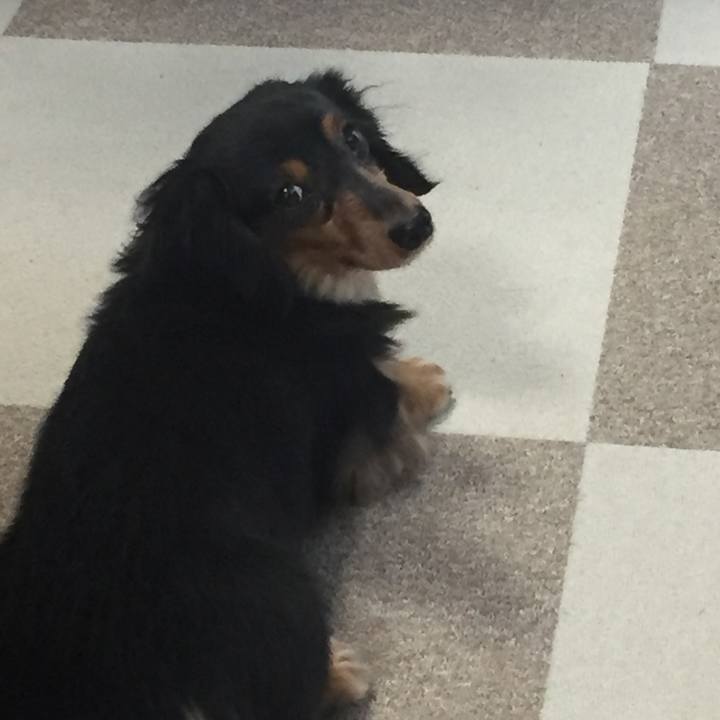 Fa9310f1 83c7 457d a848 9ffa3dfaa6db