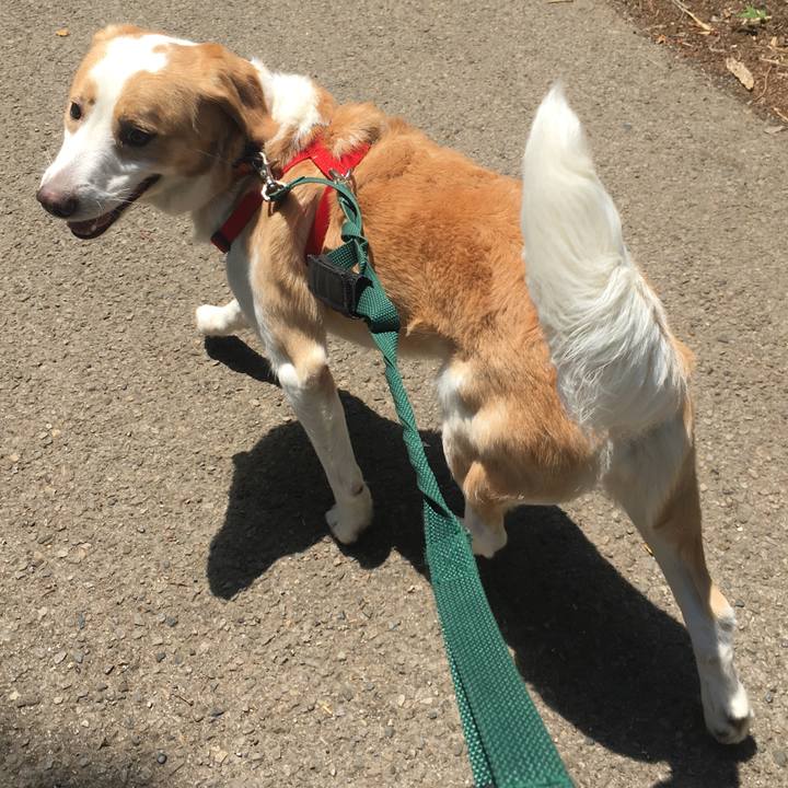 Fa931195 1f93 4302 a47d 105784bcb17e