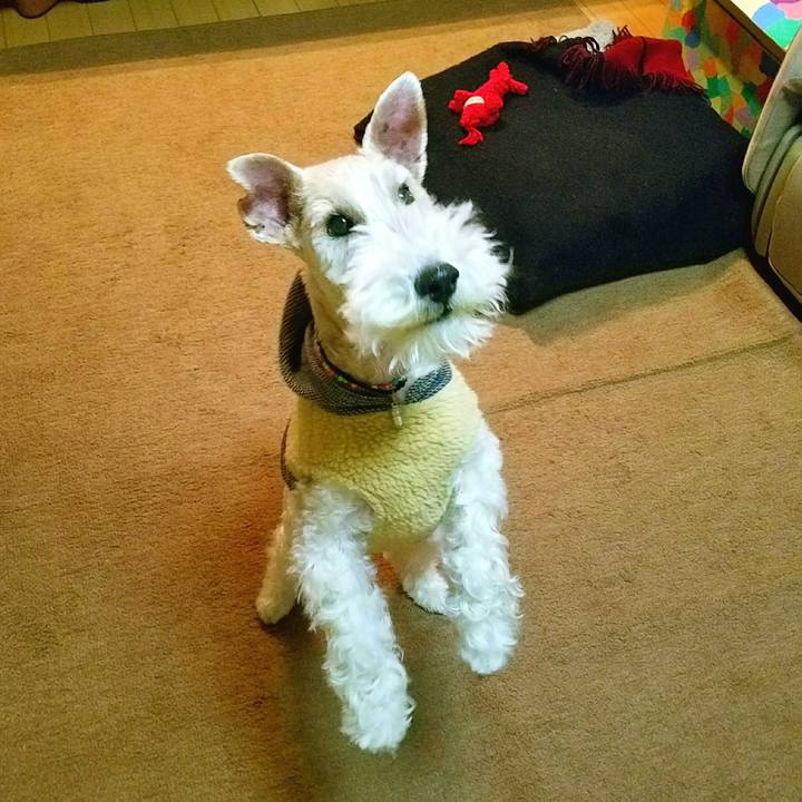 Fa934934 697a 457a 877e 9a47f9e10c36