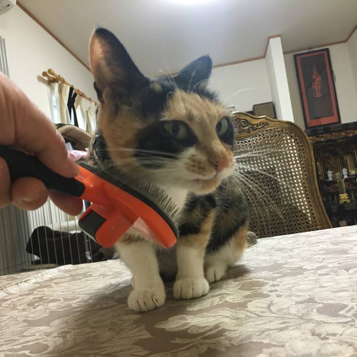 Fa93db6e 7481 4caf 8f08 8925cab20c0f