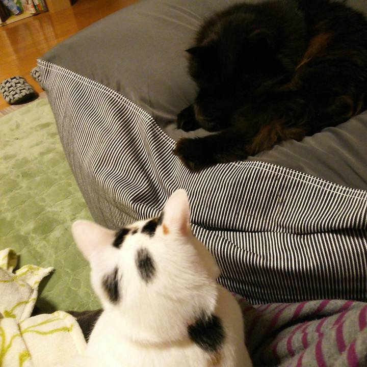 Fa9496d0 edd0 49ee b41d bd4eb34bbc30