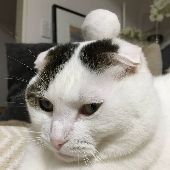 Fa95266b 5a78 4451 aff9 7f146dc0378b