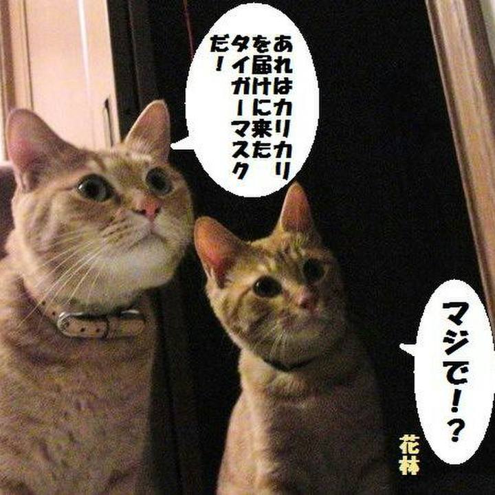 Fa9534f5 b7d4 4ee5 b87f fc7b7d3f428c