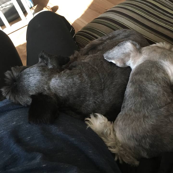 Fa95c942 3a0c 40fb ad37 63cd23056574