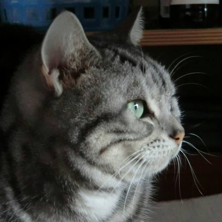 Fa95d595 f29e 42bd b054 66cb04149bc6