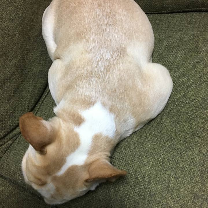 Fa95fc58 b297 4a21 a254 f33375302188