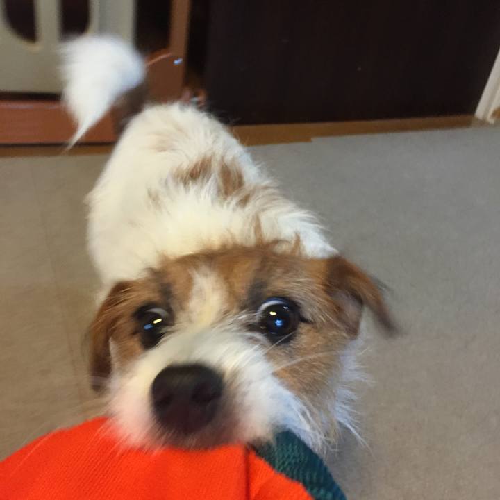 Fa9610c5 3985 4dd8 8ed7 e3e0f41c2f3d