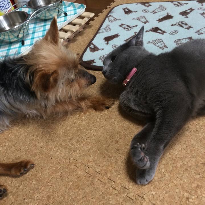 Fa9640b2 8322 4779 9165 019418da3d04