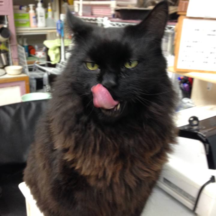 Fa96c953 0332 471f 809e bc6ac6d4a35a