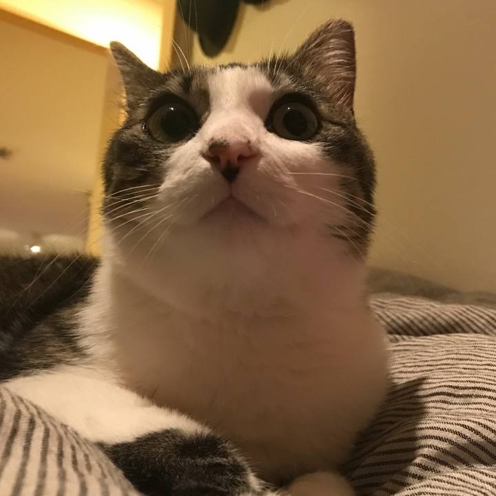 Fa97e243 2dbe 4d45 949a 1e86d374762d