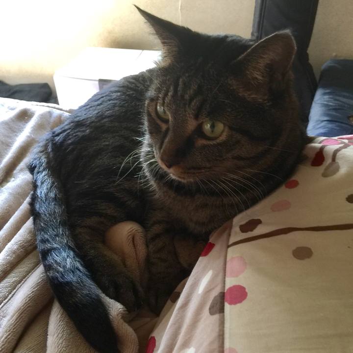 Fa98912c 82c4 41d7 911b 7a51ad8ad165