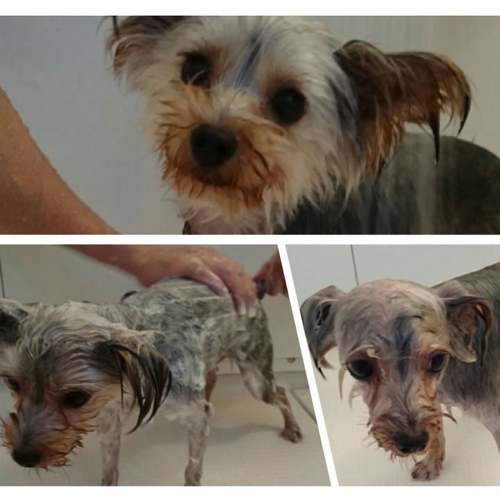 Fa98e07e 8658 4c63 ae4b e39e8d73666c