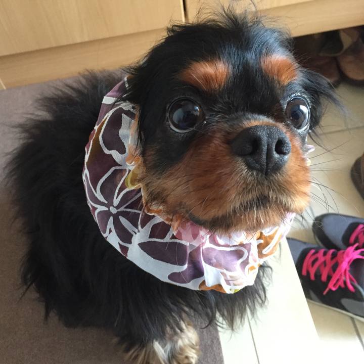 Fa990e3b fd9d 42ff 97d1 efb440a5b134