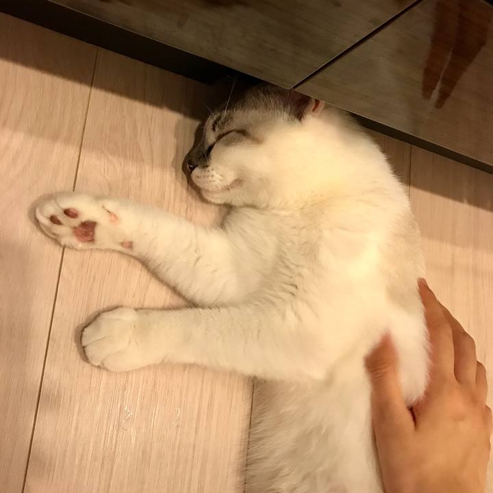 Fa99452d 2333 478a 93db c5f09fa5d542