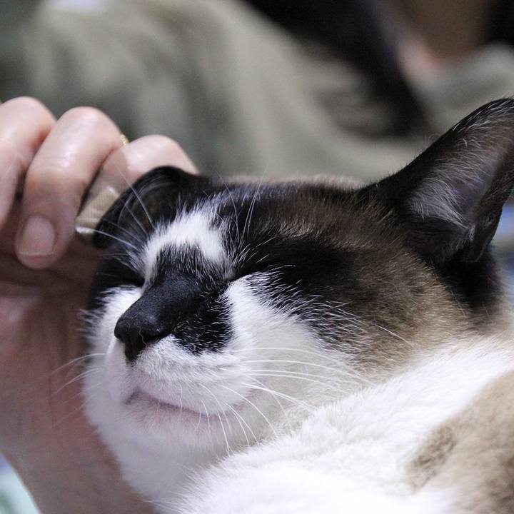 Fa99a03d 4490 4869 a26a fd8c9c0dc668