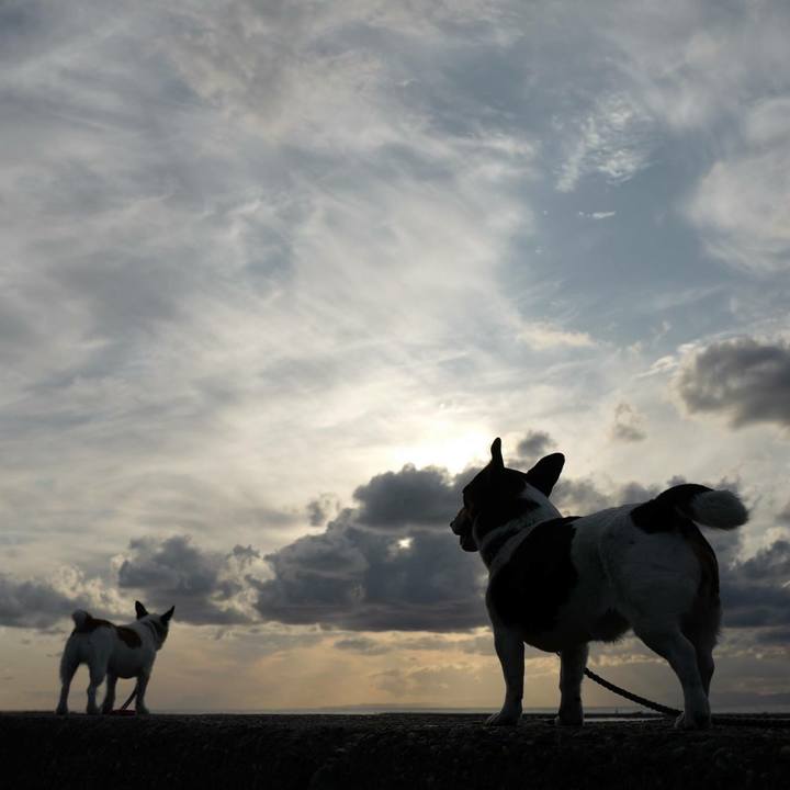 Fa9aa9a2 d3ea 49a0 93bb 7aaaf53ce2da