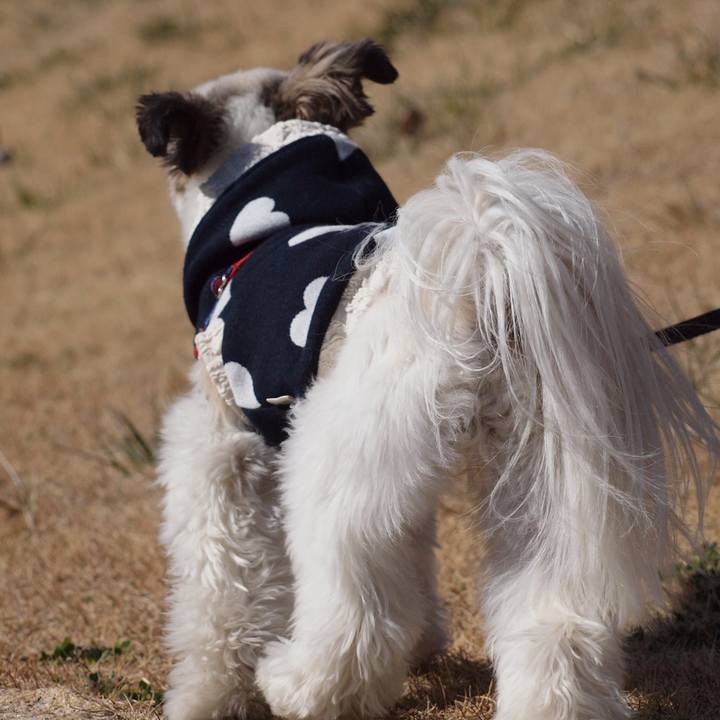 Fa9bcda3 9498 4ac0 9d84 11c5f4ce02de