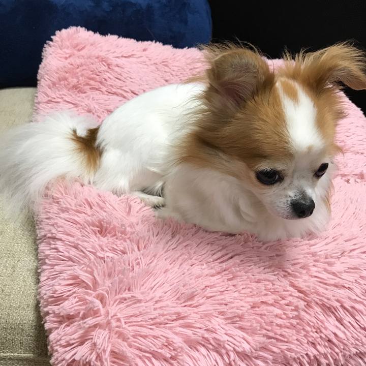 Fa9c0533 06e3 4465 8a53 13e7a6ec62e7