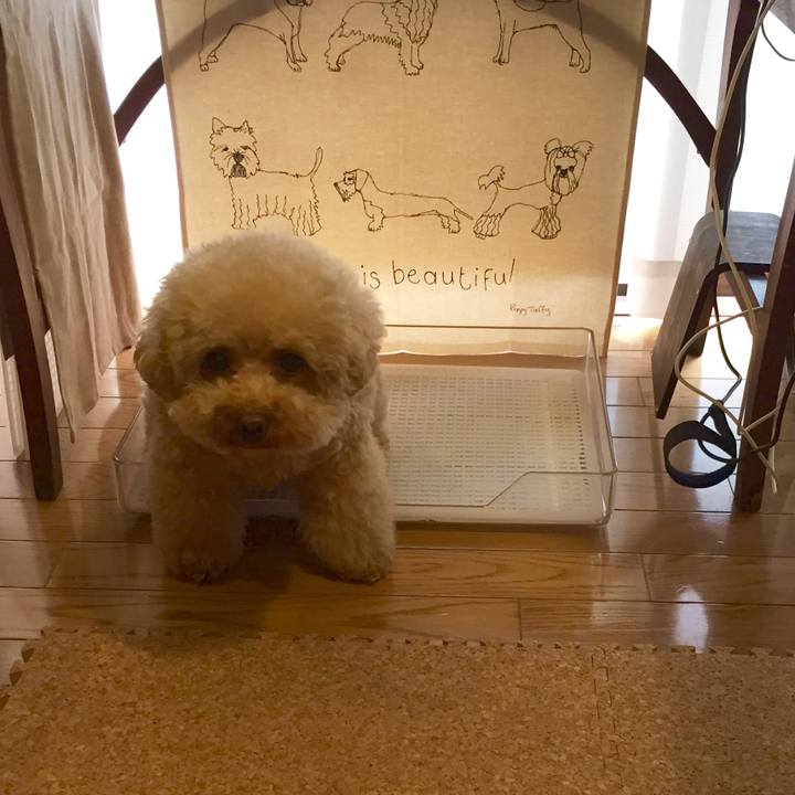 Fa9c3602 356e 4f41 93e0 a469f6ac2d3b