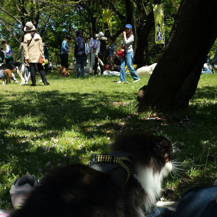 Fa9c7ef3 6e64 4c2e adc0 de422f0115a5