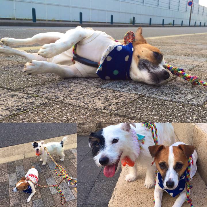 Fa9cad6a 22ac 45bc a594 5c0ad336db84