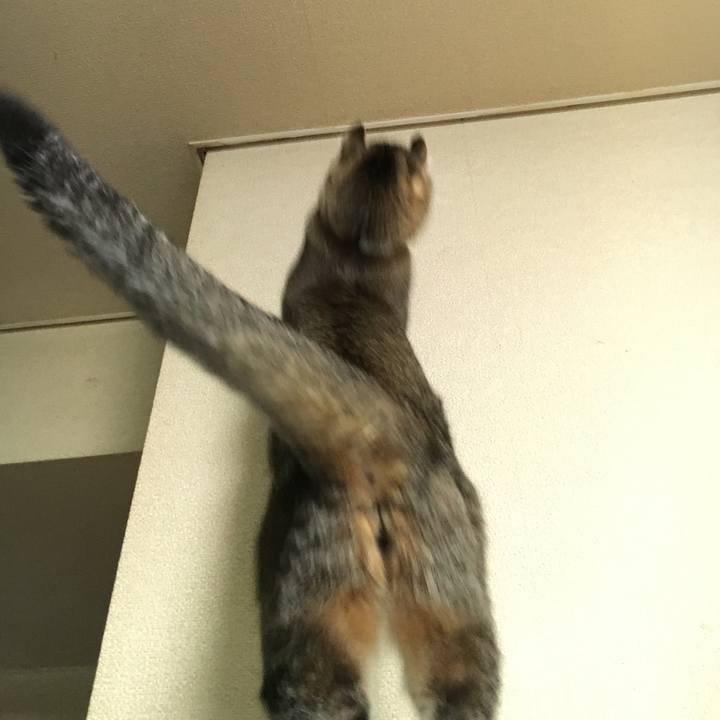 Fa9ce8d4 537c 4a5f 8adf 92bd938e6fa9