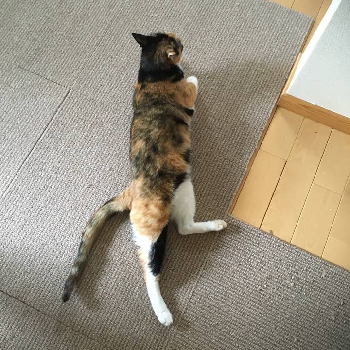 Fa9de525 2677 4ca9 a466 8c9ed0a67d1a