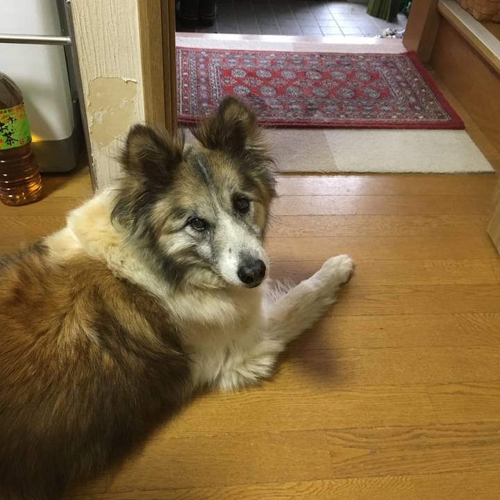 Fa9e59c9 a9e6 454e b310 fe71749b4732