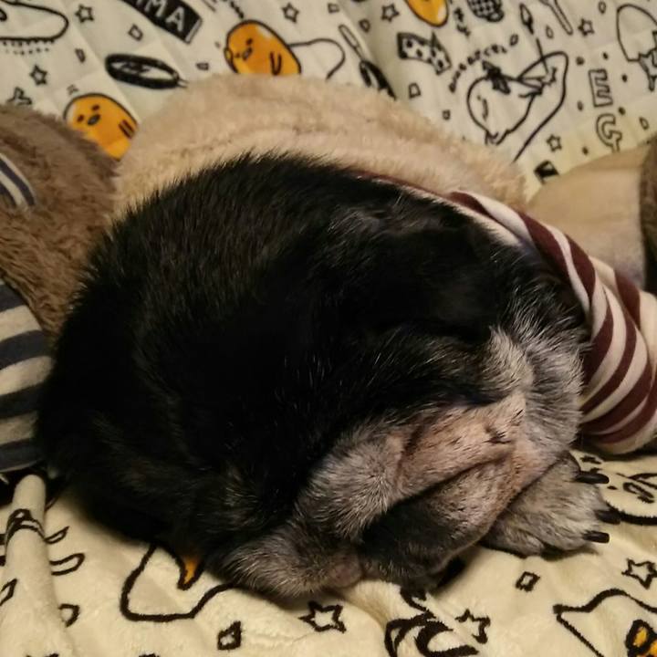 Fa9f0ef6 2a37 4a36 b477 962837091702