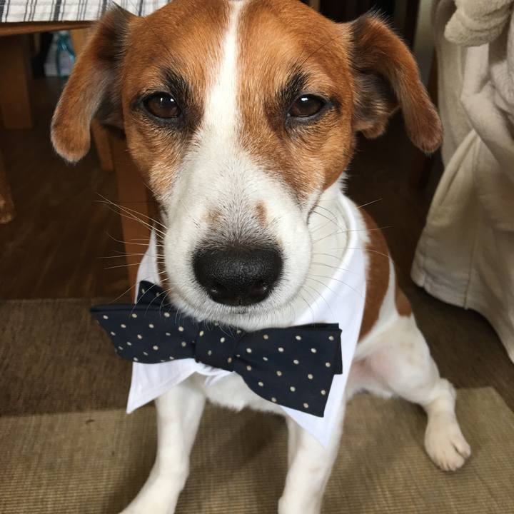 Fa9f18c6 1dcb 4dda 83e5 1bd4d72e0202