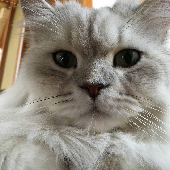 Fa9f3017 0cce 4949 b74b 57d66af726b7