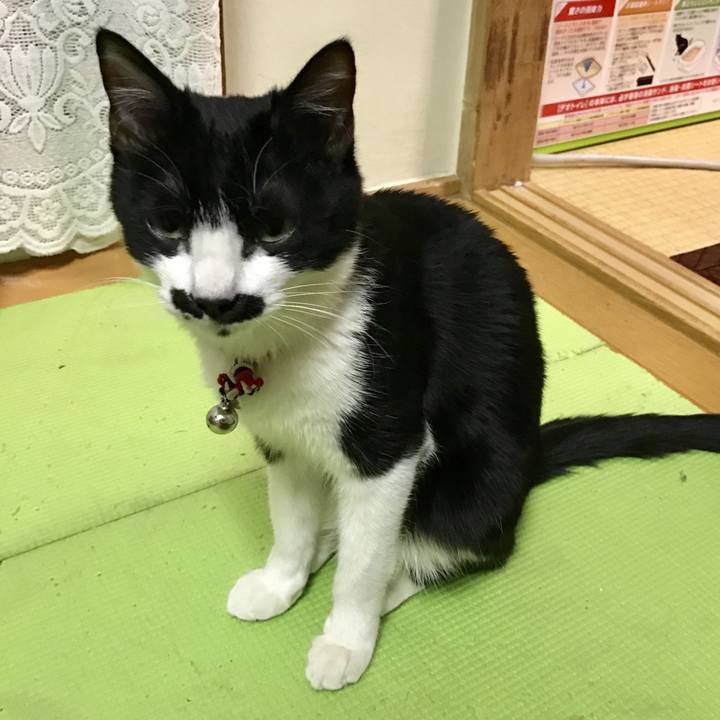 Faa07892 4ab9 4571 a3c9 ef623618c6ae