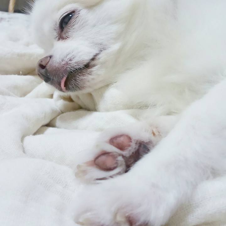 Faa084f8 b9cd 46f5 badb eec396d7b7da