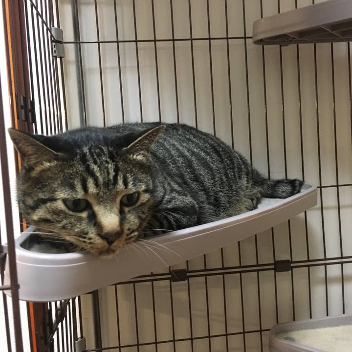 Faa21e7b def6 4c5a 87ab d016ddcff102