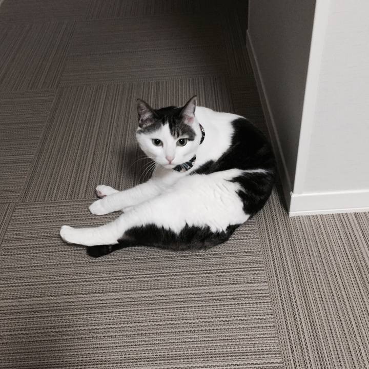 Faa298b5 5dbd 4628 92db 1bfe8dc611f0