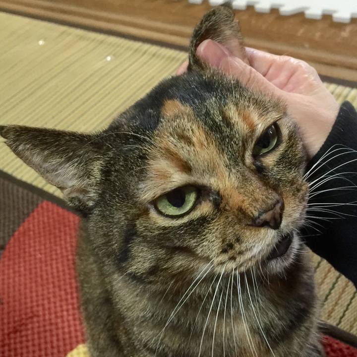 Faa2bf47 72f0 423f 8d33 4e7a345fb8c4