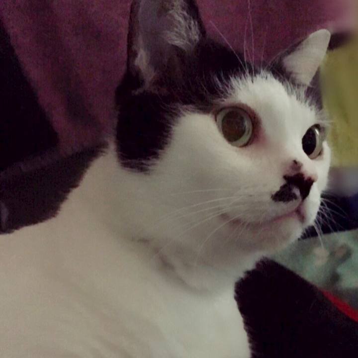 Faa2d82a a25f 4841 998e 4f2a24c6c5e2