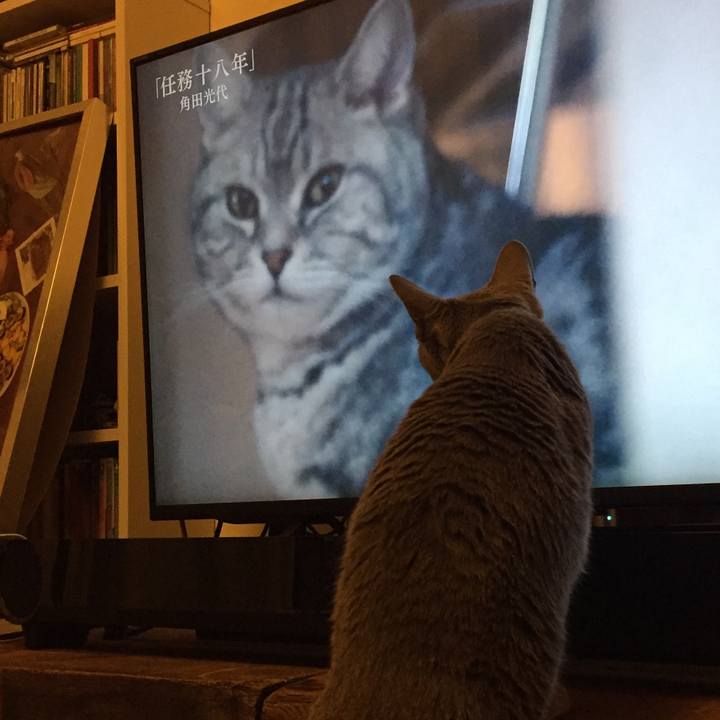 Faa3fa85 e43c 4ebf b033 01ddd2454129