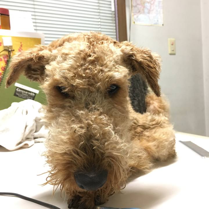 Faa497dc 1c48 4907 86b0 10e2a801f720