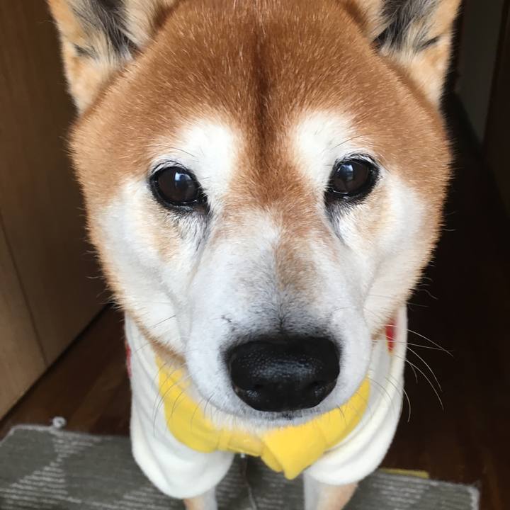 Faa52f0e 636e 4bc4 8a71 25a1ee6a041d