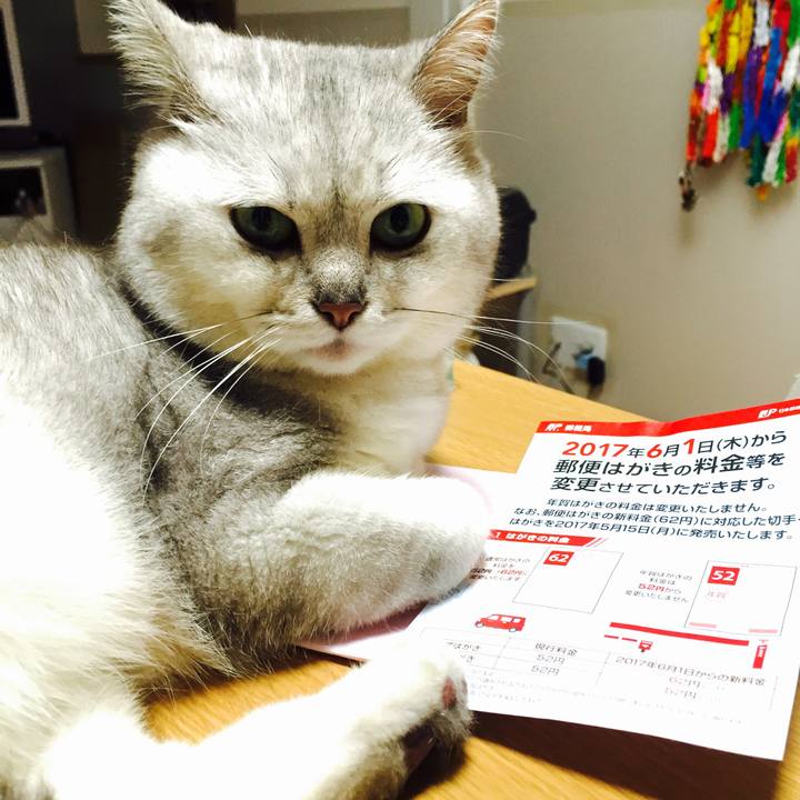 Faa58ae9 5c3d 41f6 b2fa 55fdd23a8f80