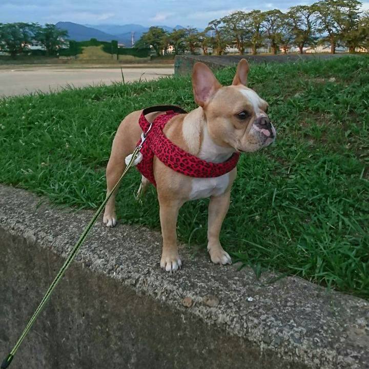 Faa684d4 e963 483a 9839 24004a1f2ae5