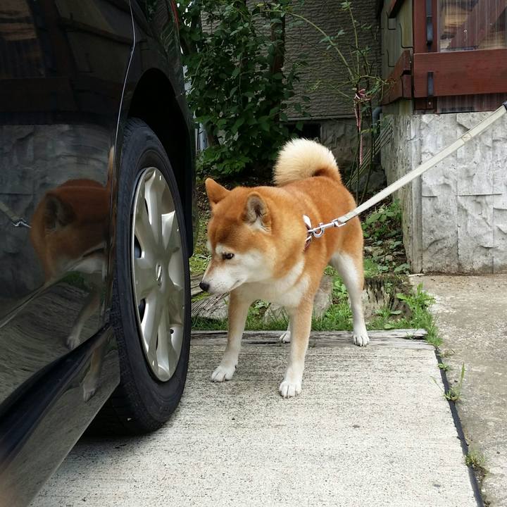 Faa68642 987a 4499 9ae4 090af0950af5