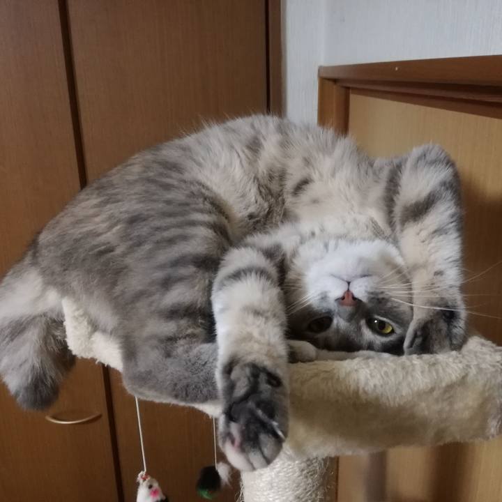 Faa7304c 0600 4924 ac59 c2cf4b9ee3b2