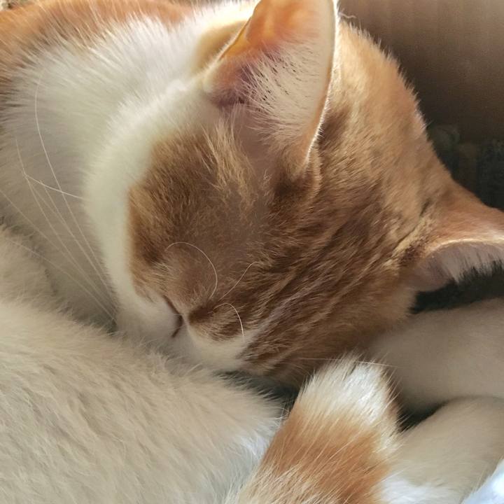 Faa73ae2 0a82 4d54 821e 79c361fa3500