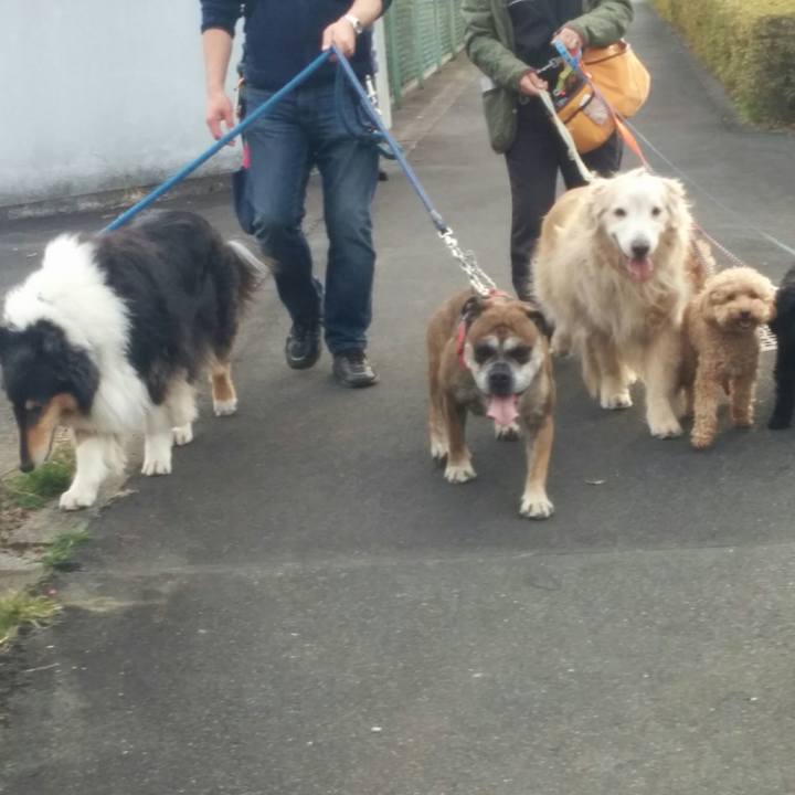 Faa776db cb9a 45e1 921a b529ca831a2e