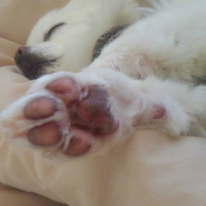 Faa7a3be 3d0f 4d60 9951 abd4043c8073