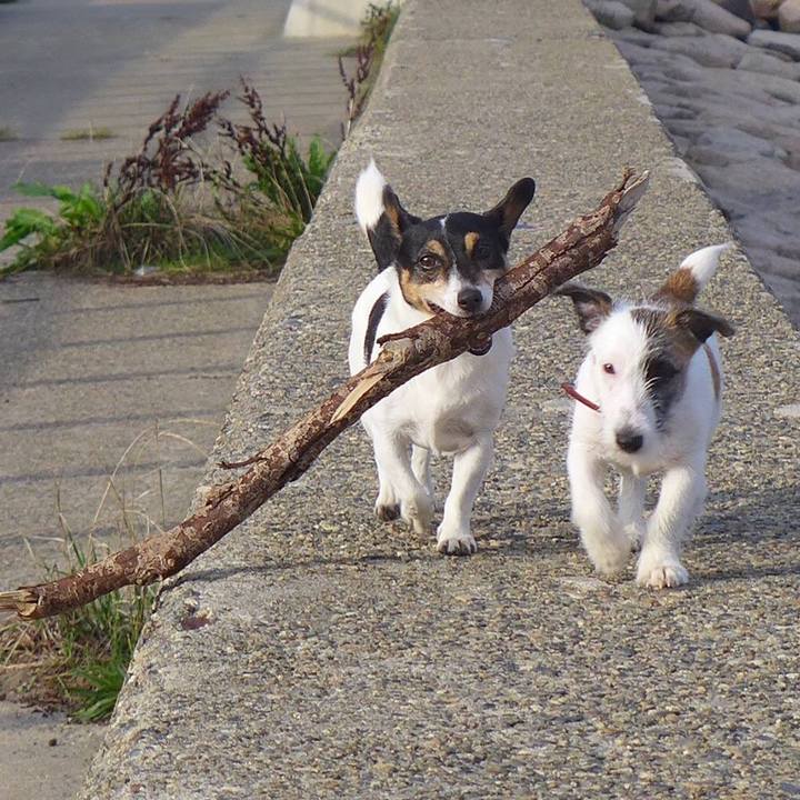 Faa8b62f 1cef 4025 9fc9 61e3c1dc40c6