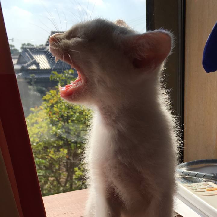 Faa8c2b9 72af 4083 9d34 e8829f023038